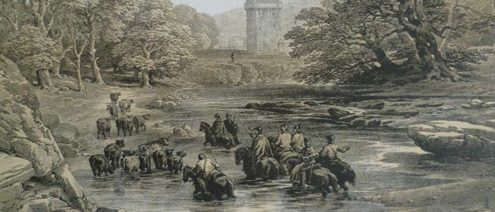 About the Border Reivers